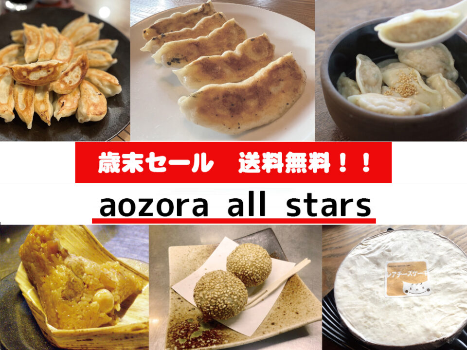 青空餃子店onlin shop歳末セール
送料込み10,000円aozora all stars